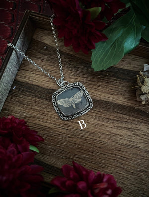 Framed Moth Necklace