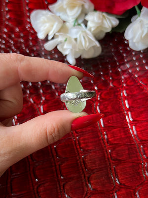 The Maud Ring; MTO