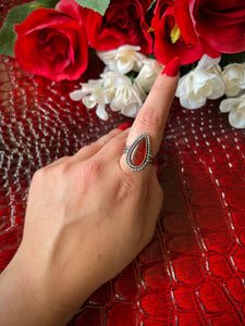 The Maud Ring; MTO